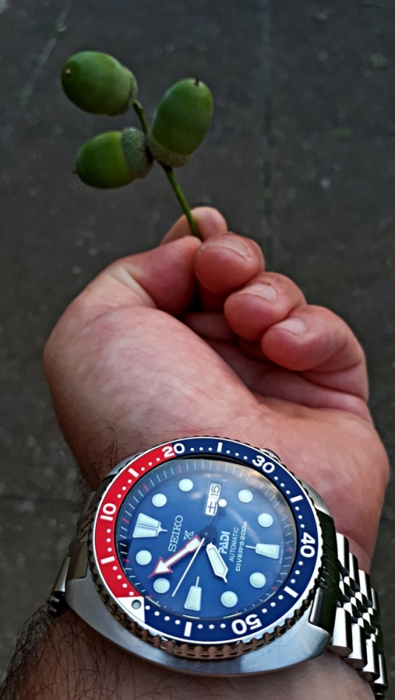 Vit_Seiko_PADI_200816_01.jpg