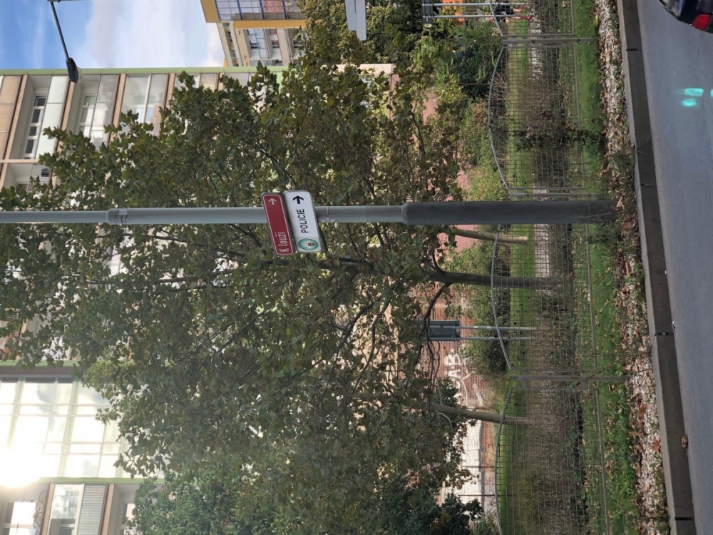 K louži.jpg