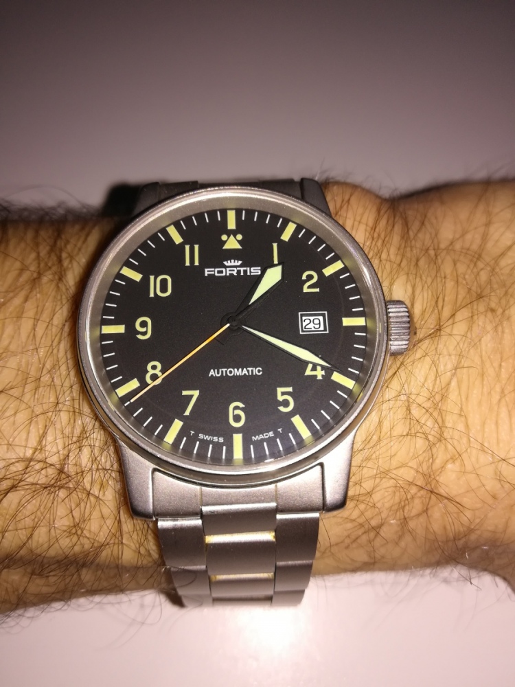 Fortis Flieger.jpg