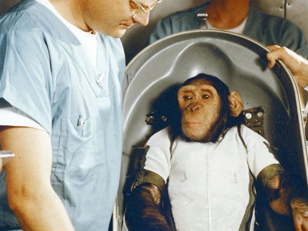 chimp-in-space.jpg