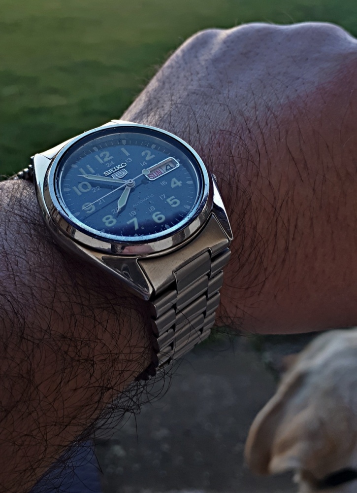 Vit_Seiko_5_210404_01_.jpg