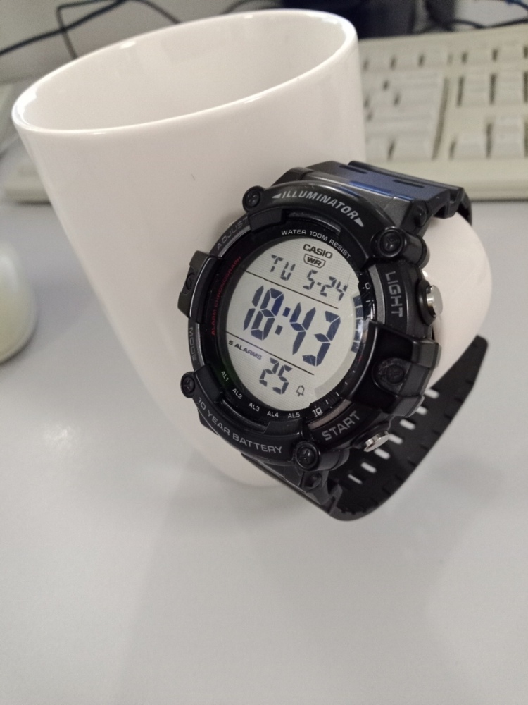 casio.thumb.jpg.c6c8e938e38866b1d7af5e930542ea61.jpg