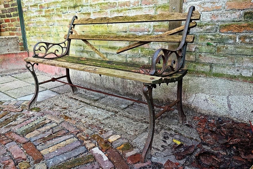 bench-wooden-bench-old-bench-mouldy-bench-garden-bench-retro-bench-mould-green-mould-shed.jpg.afaa60071673677e4ebaa5674c4b7aef.jpg