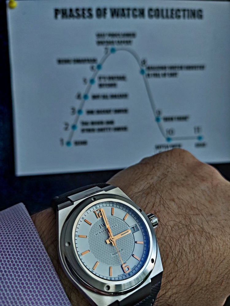 Vit_IWC_Ing_221107_01_.jpg