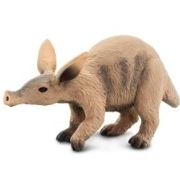 Aardvark