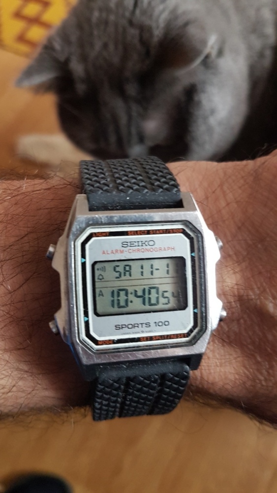 16996955724076011455730804515443.jpg