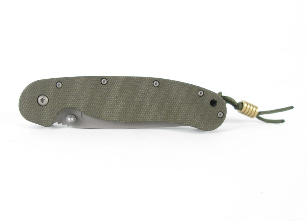 rat1_greencanvas_02.JPG