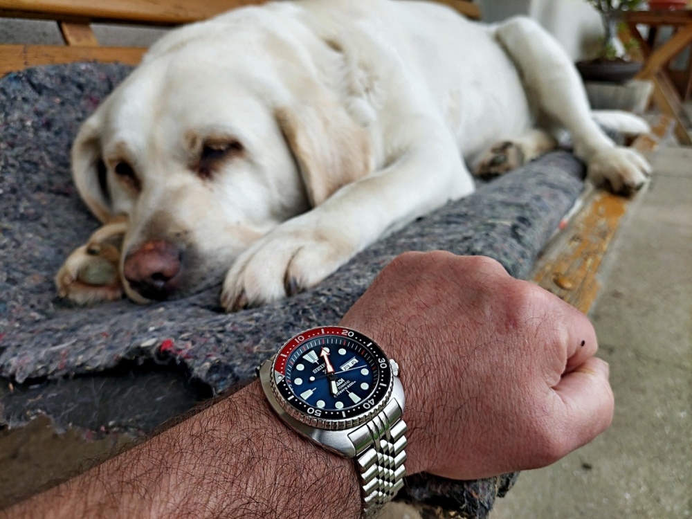 Vit_Seiko_PADI_240507_01_.jpg
