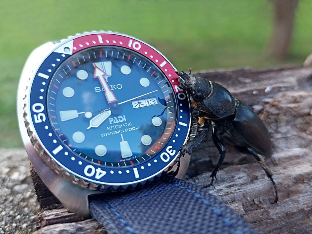 Vit_Seiko_PADI_240614_01_.jpg