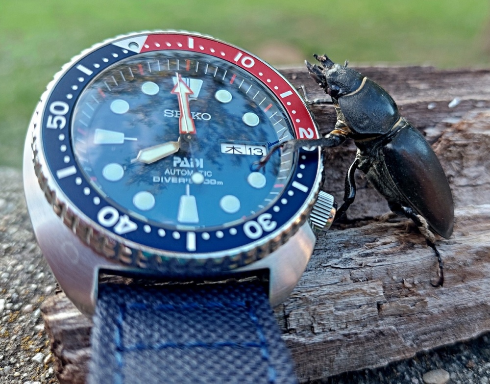 Vit_Seiko_PADI_240615_01_.jpg