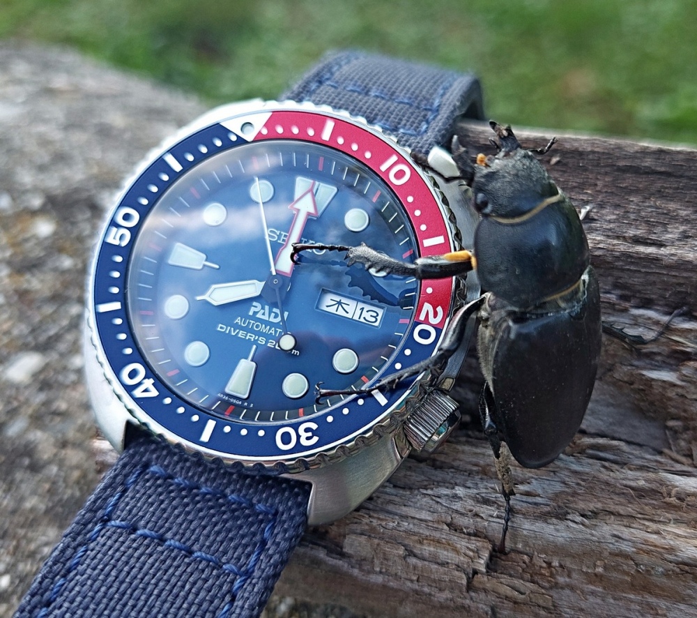 Vit_Seiko_PADI_240615_02_.jpg