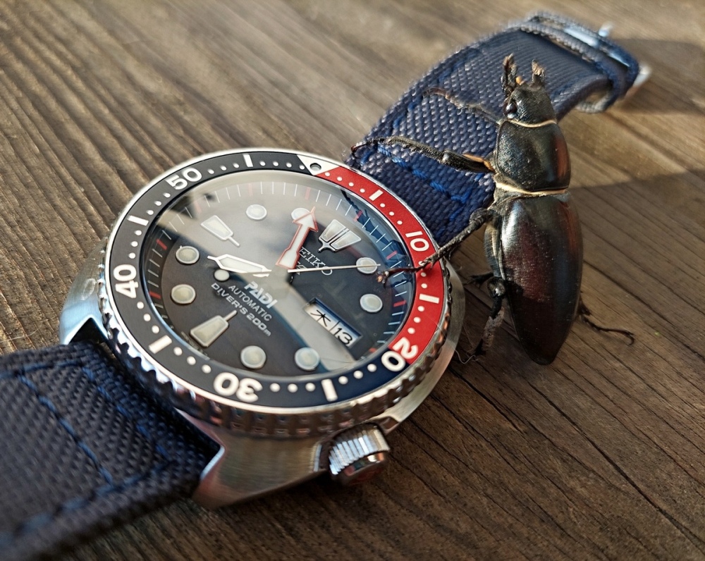 Vit_Seiko_PADI_240622_01_.jpg