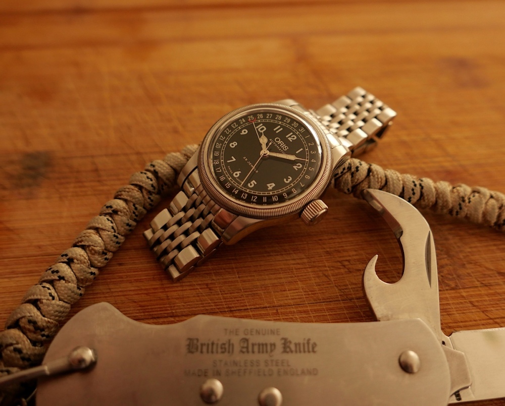 oris bc_L1100327.JPG