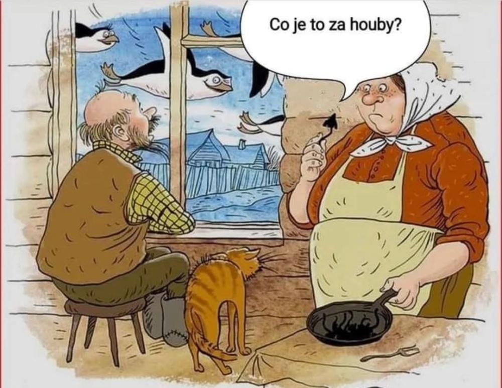 FB_IMG_1742669001966.jpg