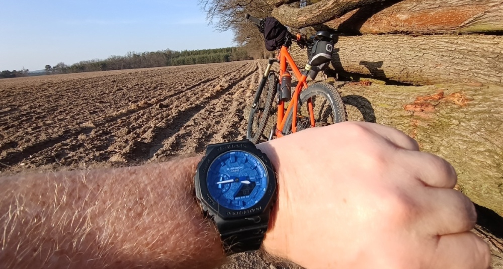 IMG_20250309_154451193_MP (1).jpg