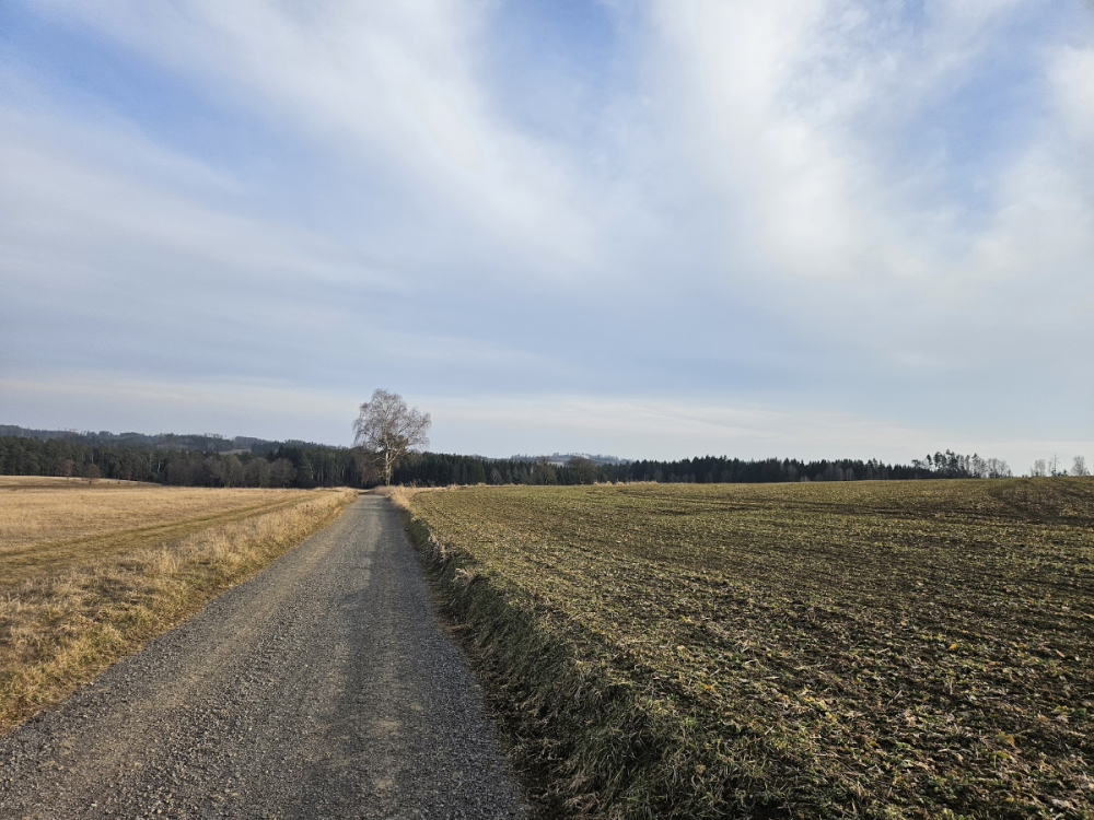 image.thumb.png.ae553c975ec98ecaddbad167ff881d26.png