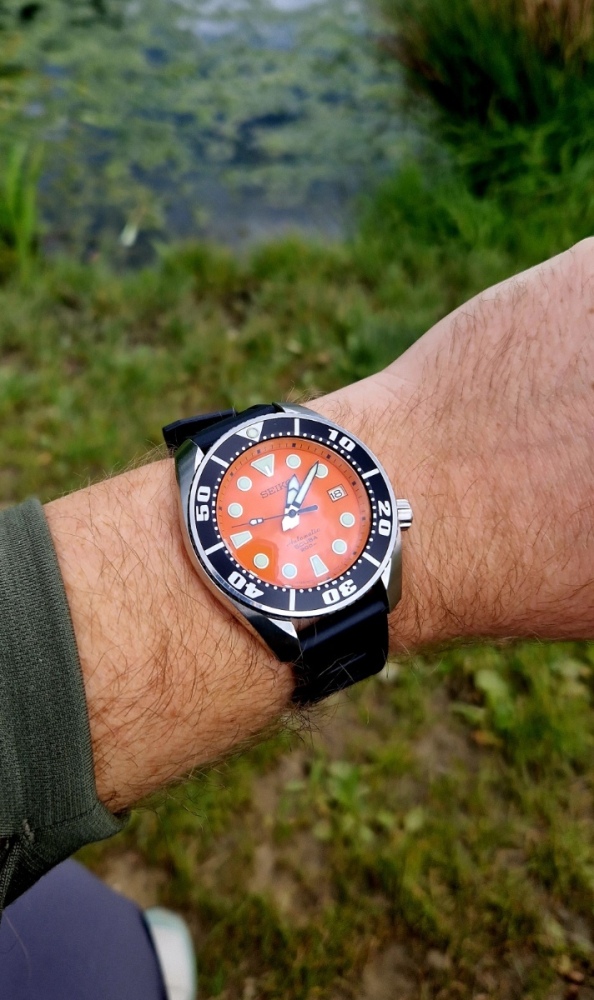 20250518_130941.thumb.jpg.bf6a9c5c63b425fa8c0c456dfa54df5a.jpg