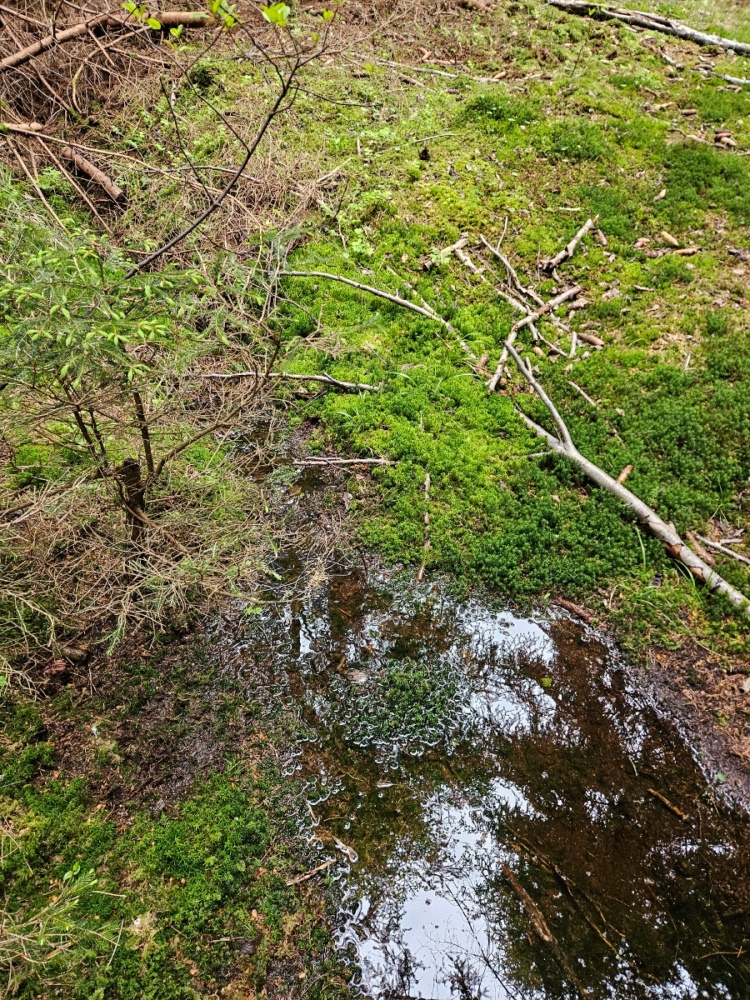 20250519_175116.jpg