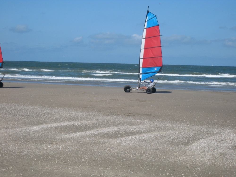 IMG_2354.JPG