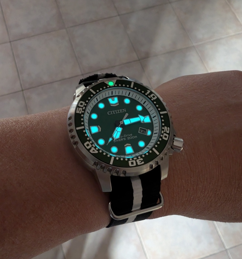 PXL_20250514_171437393_MP2.thumb.jpg.9498376db52b5e3ebbc5bbbabcbeada4.jpg