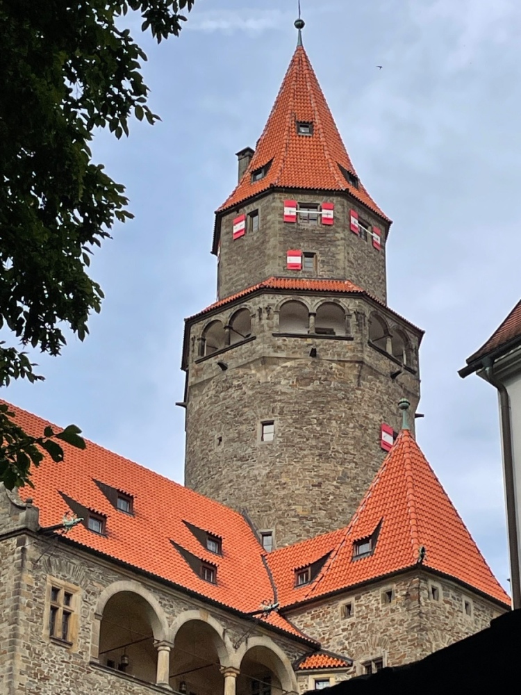 IMG_0780.jpeg