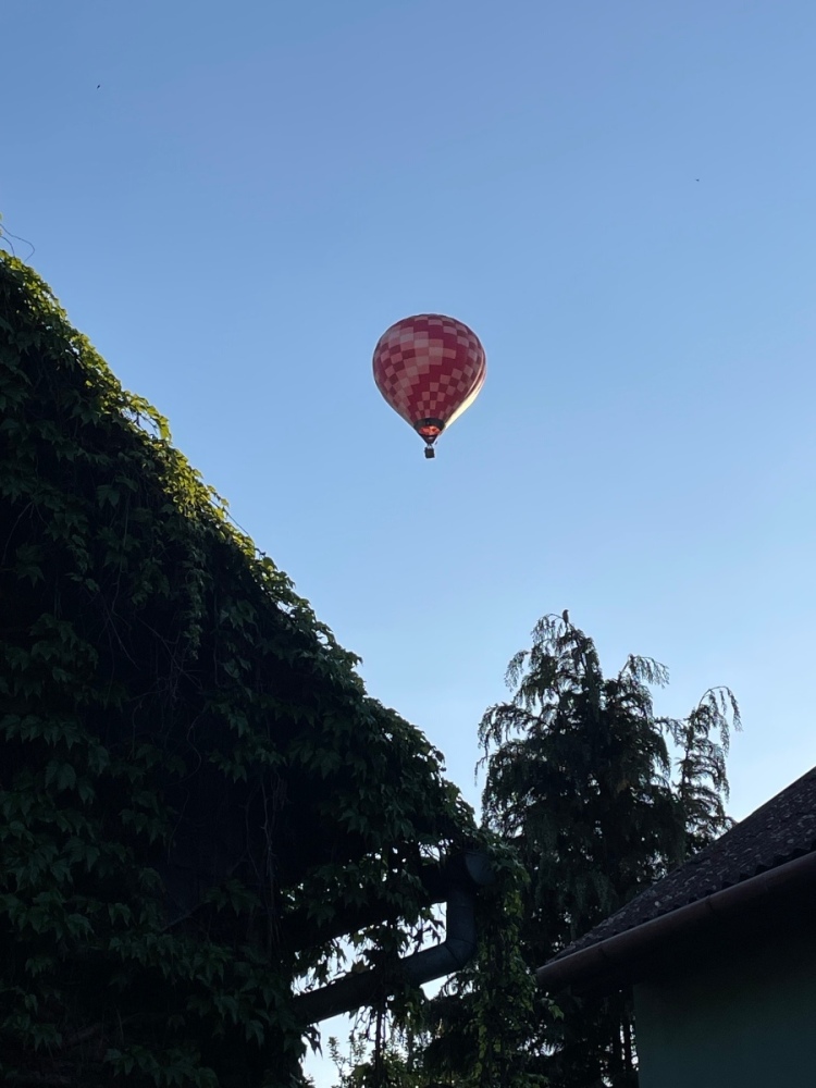 IMG_9032.jpeg