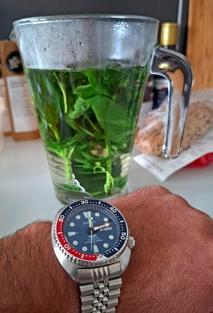 Vit_Seiko_PADI_250824_01_.jpg
