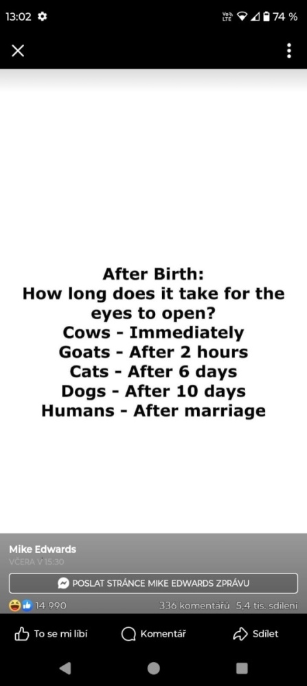 a69b80cd-71fe-4da6-a39a-994eecef7f31.jpeg