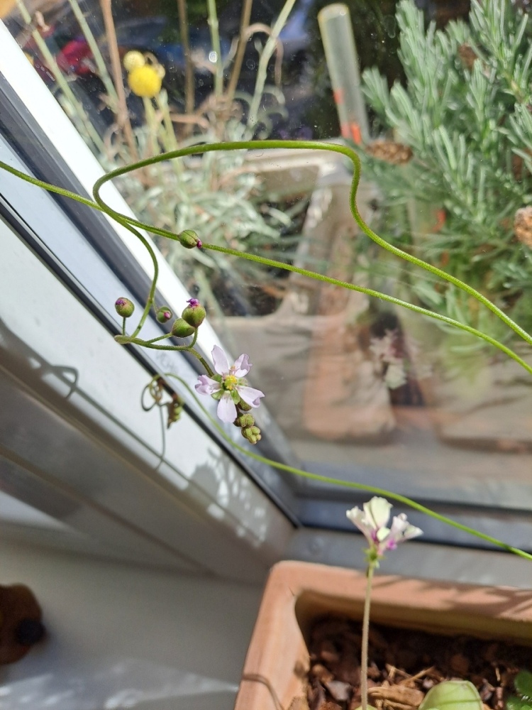 20251018_122404.jpg