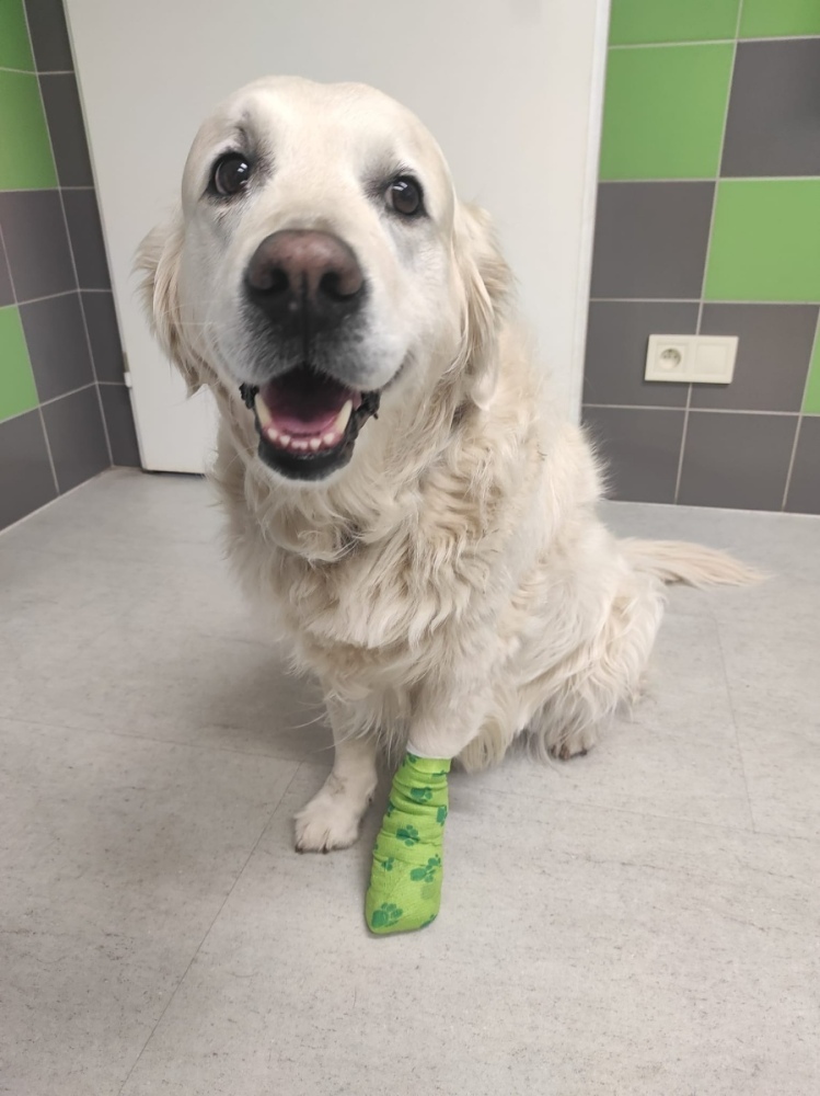 Obrázek WhatsApp, 2025-11-13 v 11.05.30_e648ab04.jpg