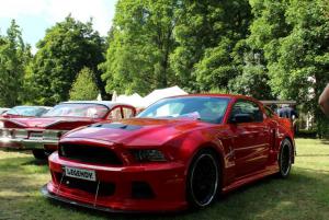 Shelby-GT500-2013-0116.jpg