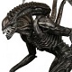 Xenomorfus