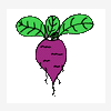 Beet